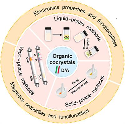 Organic Cocrystals: Recent Advances and Perspectives for Electronic and Magnetic Applications